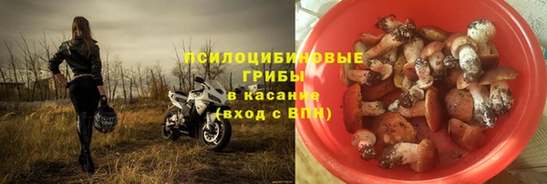 винт Костерёво