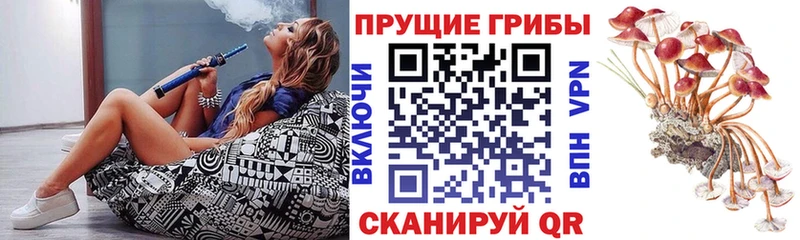 Купить закладки  Щёлкино  Псилоцибиновые грибы ЛСД 